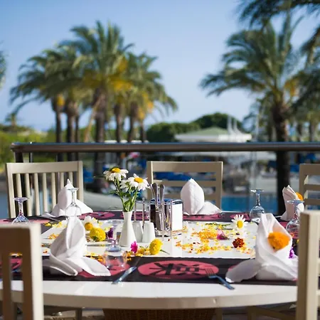 Tui Blue Tropical Hotel